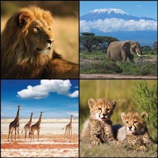 Fototapeta na zeď Africa Collage L-226