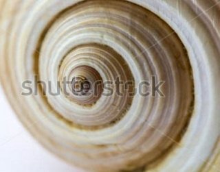 Fototapeta k bazénu MUŠLE 350 x 275 cm