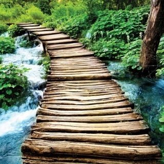 Fototapeta na zeď Boardwalk L-133