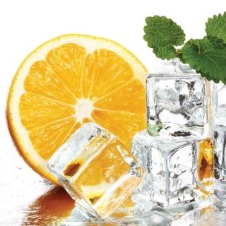 Fototapeta na zeď Lemon and Ice L-258