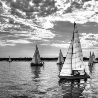 Fototapeta na zeď Regatta L-182