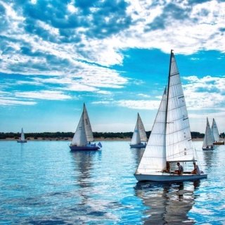 Fototapeta na zeď Sailing Regatta L-173