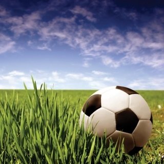 Fototapeta na zeď Soccer Ball L-260