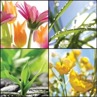 Fototapeta na zeď Spring Collage L-207