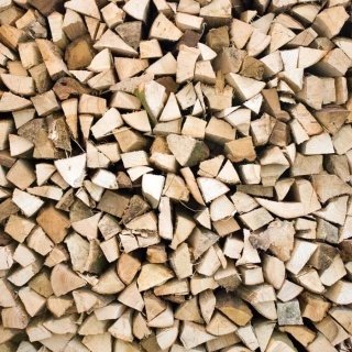 Fototapeta na zeď Timber Logs L-152