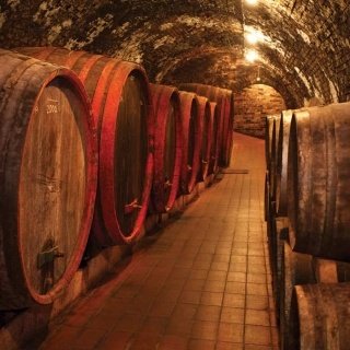 Fototapeta na zeď Wine Barrels L-263