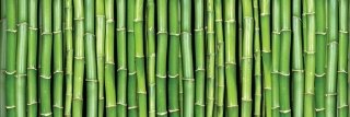Vliesová fototapeta Bamboo M-140
