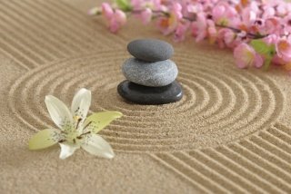Vliesová fototapeta Dimex Zen Garden XL-187 330x220 cm