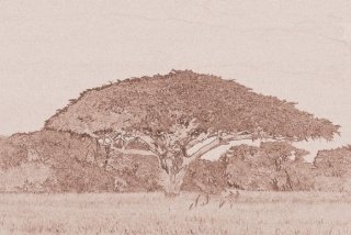 Fototapeta na zeď Egypt Pyramid XL-316
