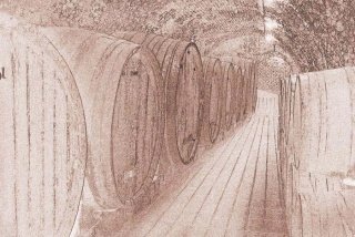 Fototapeta na zeď Wine Barrels XL-320