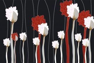 Fototapeta na zeď Flowers Black XL-323