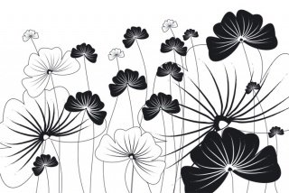 Fototapeta na zeď Black Flowers XL-325