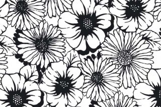 Fototapeta na zeď Black Flowers XL-328