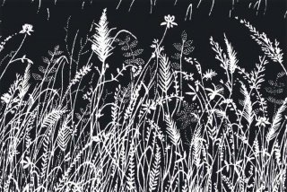 Fototapeta na zeď Grass Black XL-331