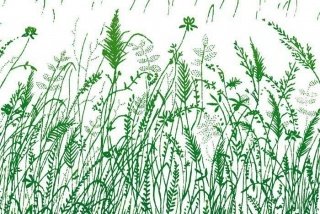 Fototapeta na zeď Grass Green XL-332