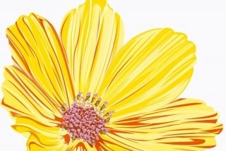 Fototapeta na zeď Yellow Flower XL-337