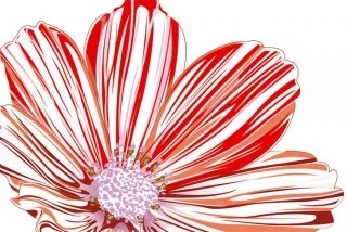 Fototapeta na zeď Red Flower XL-342