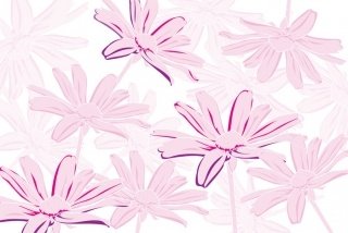 Fototapeta na zeď Marguerite Violet XL-343