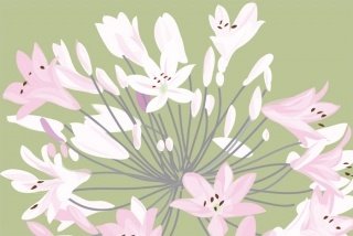 Fototapeta na zeď Violet Flowers XL-349