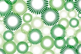 Fototapeta na zeď Green Circles XL-370