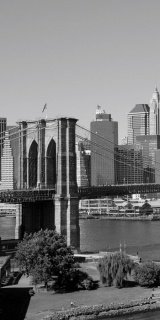 Fototapeta Dimex Manhattan S-303 | 110x220 cm