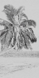 Fototapeta Dimex Beach S-310 | 110x220 cm