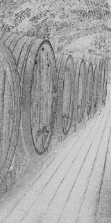 Fototapeta Dimex Wine Barrels S-314 | 110x220 cm