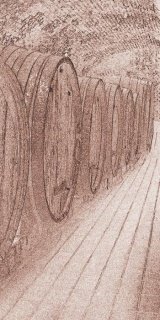 Fototapeta Dimex Wine Barrels S-315 | 110x220 cm