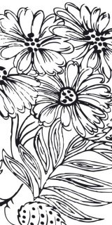 Fototapeta Dimex Flowers S-320 | 110x220 cm
