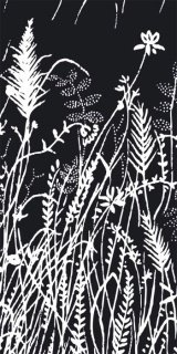 Fototapeta Dimex Grass S-325 | 110x220 cm
