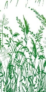 Fototapeta Dimex Grass Green S-326 | 110x220 cm