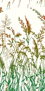 Fototapeta Dimex Grass Brown S-327 | 110x220 cm