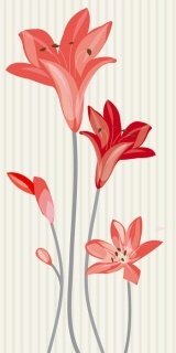 Fototapeta Dimex Flowers Red S-332 | 110x220 cm