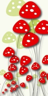 Fototapeta Dimex Amanitas Red S-337 | 110x220 cm