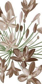 Fototapeta Dimex Brown Flowers S-340 | 110x220 cm