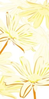 Fototapeta Dimex Marguerite Yellow S-345 | 110x220 cm