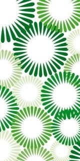 Fototapeta Dimex Green Circles S-371 | 110x220 cm