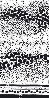 Fototapeta Dimex Black Dots S-389 | 110x220 cm