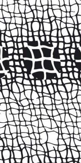 Fototapeta Black Grid S-400