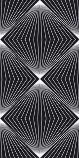 Fototapeta na zeď Black Abstract S-421