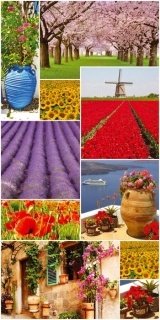 Fototapeta na zeď Flower Collage S-444