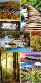 Fototapeta na zeď Natur Collage S-445