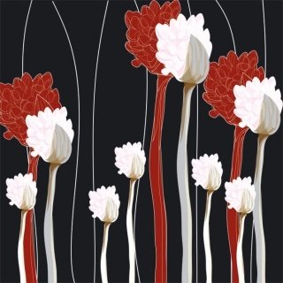 Vliesová fototapeta Flowers Black L-330