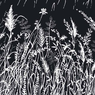 Vliesová fototapeta Grass Black L-338