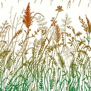 Vliesová fototapeta Grass Brown L-340