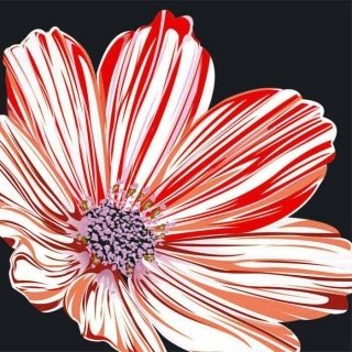 Vliesová fototapeta Red Flowers L-345