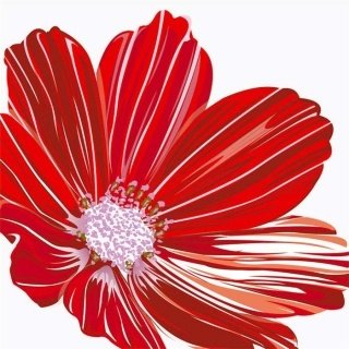 Vliesová fototapeta Red Flowers L-349