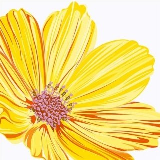 Vliesová fototapeta Yellow Flowers L-350