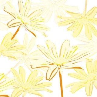 Vliesová fototapeta Yellow Marguerite L-355