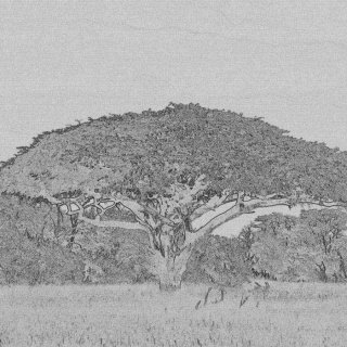 Vliesová fototapeta Acaccia L-316